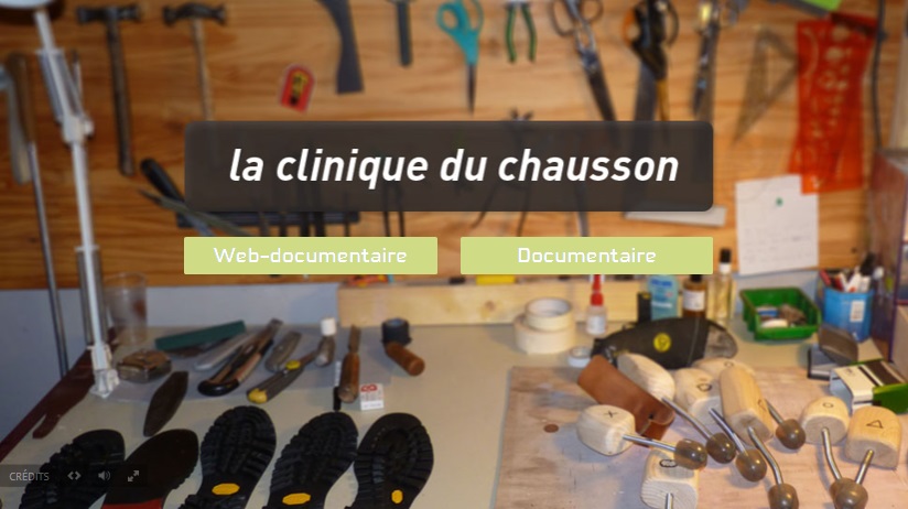 COLLECTION SAVOIR-FAIRE ET FAIRE SAVOIR : WEBDOCUMENTAIRES 2014