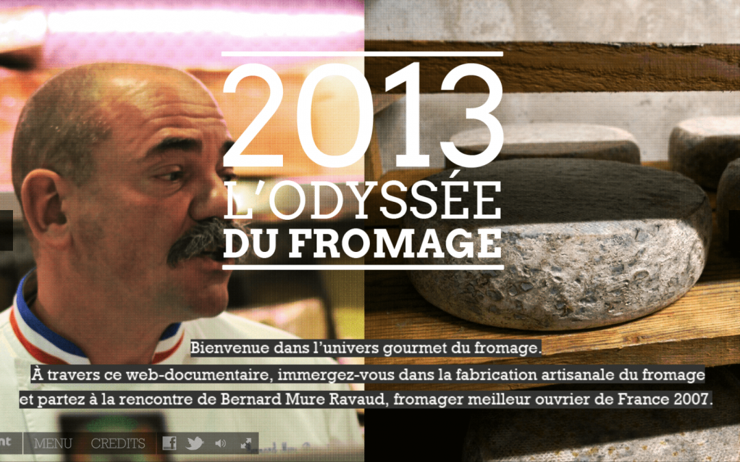 COLLECTION SAVOIR-FAIRE ET FAIRE SAVOIR : WEBDOCUMENTAIRES 2013